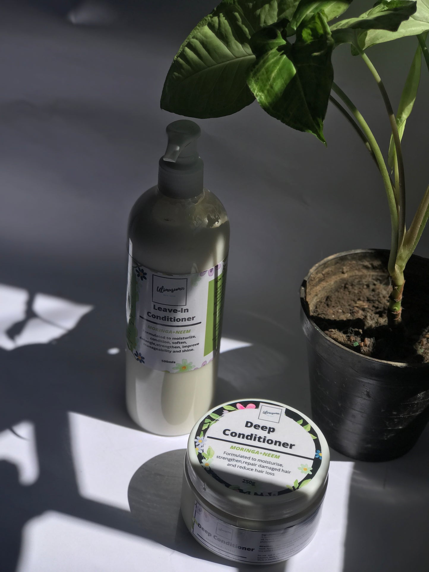 Moringa Conditioner Range