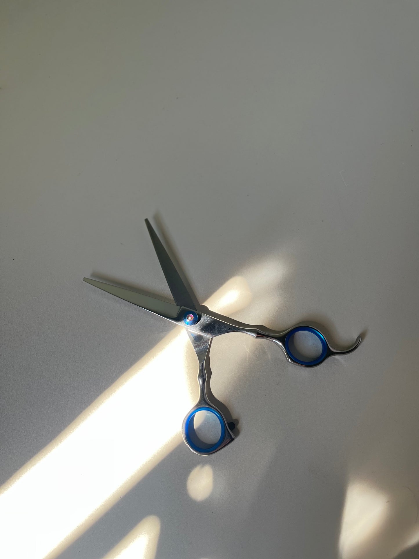 Trimming shears
