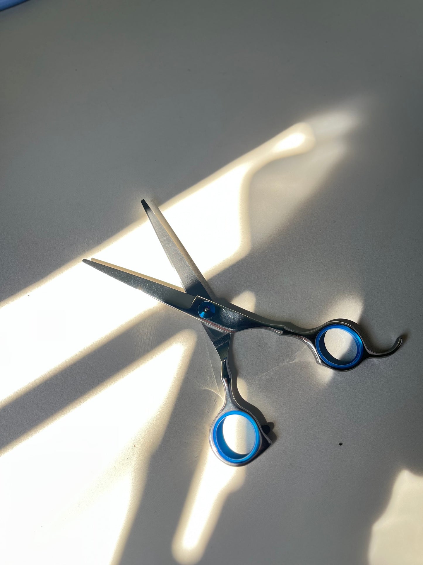 Trimming shears